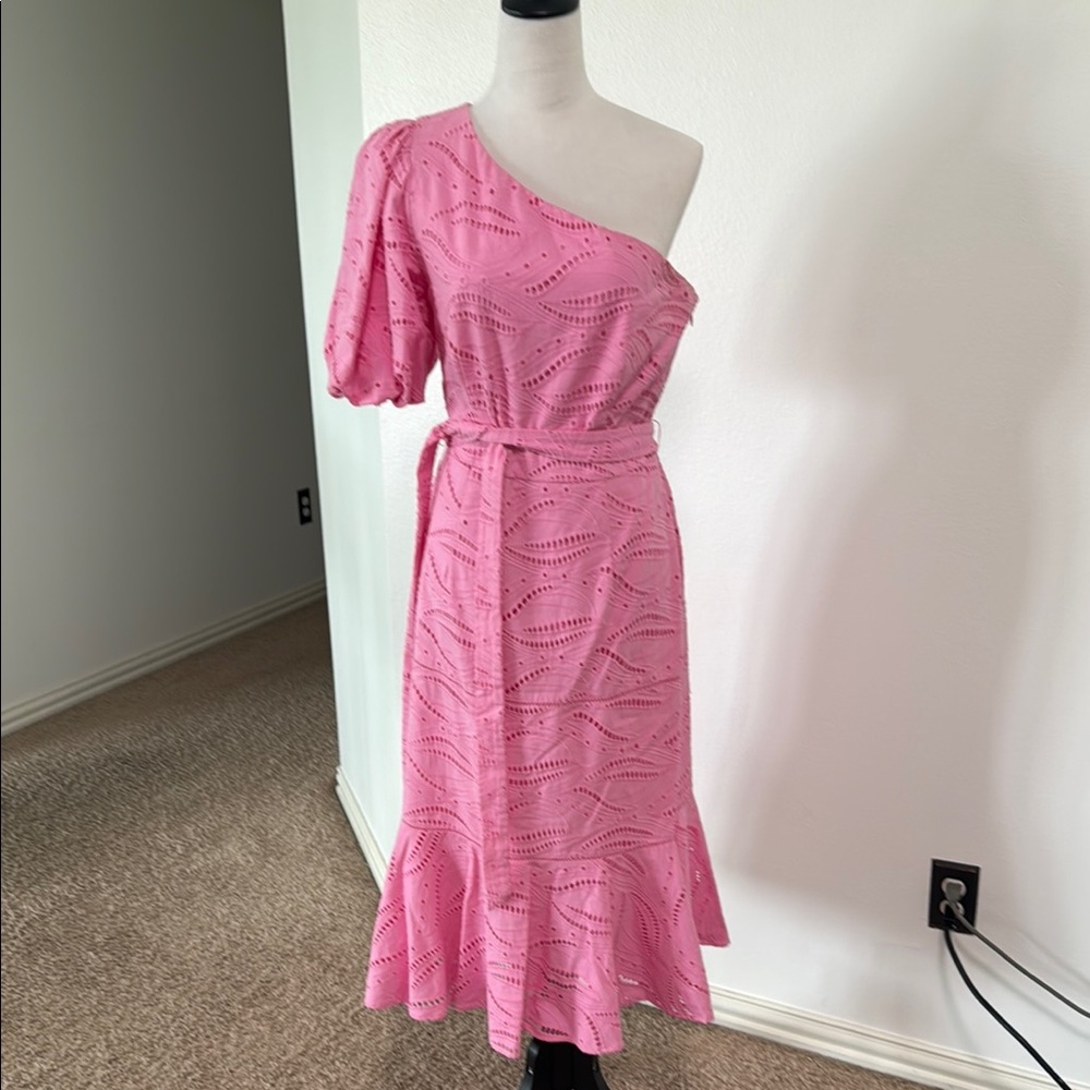 Gibson Latimer Pink One Shoulder Flutter Sleeve Dress